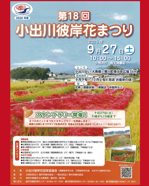第18回 小出川彼岸花まつり 開催♬｜新着情報 ｜【公式】神奈川県のお出かけ・観光・旅行サイト「観光かながわNOW」
